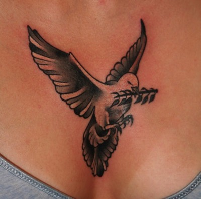 Dove with olive branch tattoo 