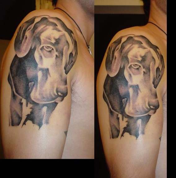  Abstract art dog tattoo 