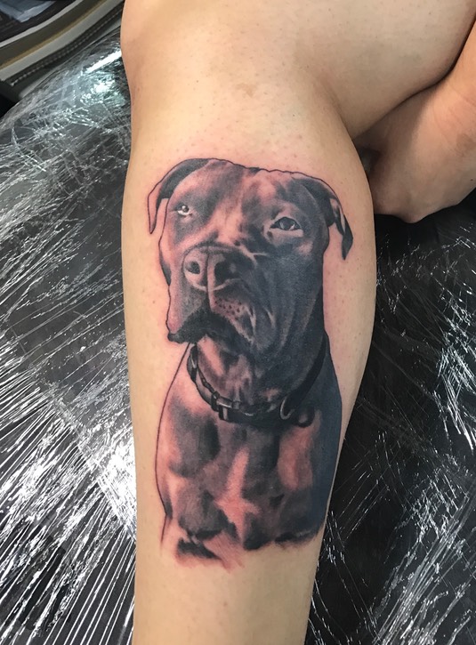  Pitbull dog tattoo 