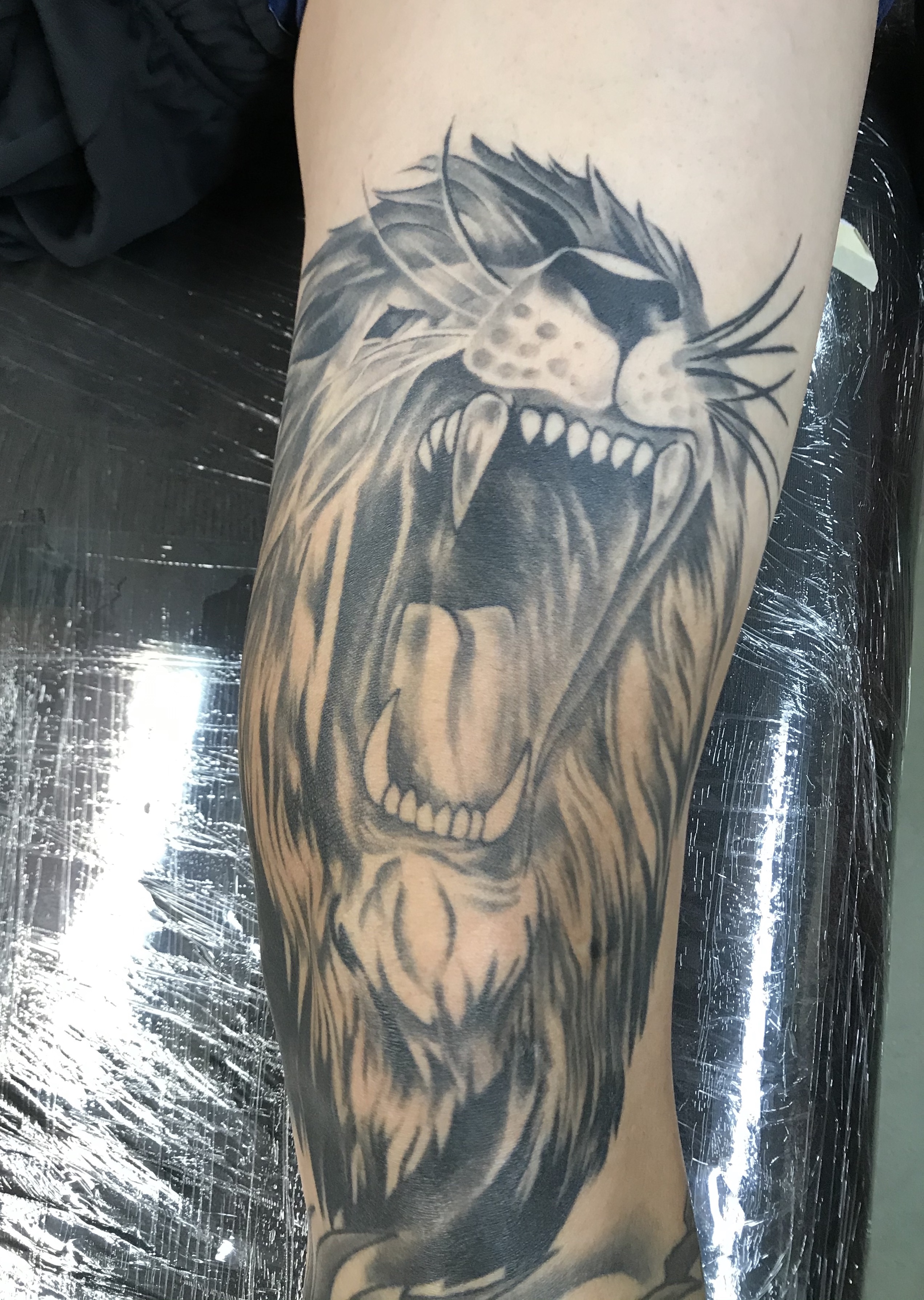  Lion tattoo  
