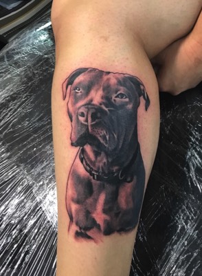  Pitbull tattoo by Brandon Notch 