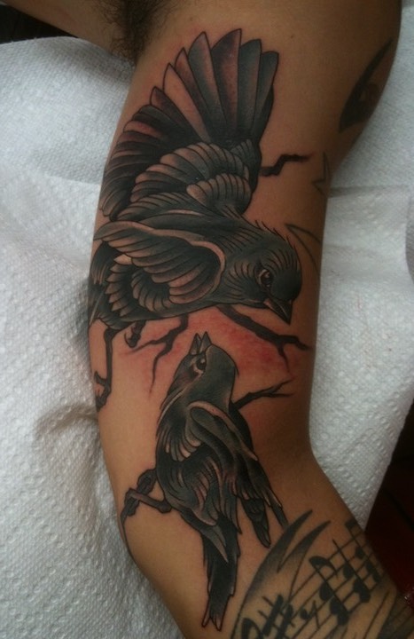  Birds by Brandon Notch 