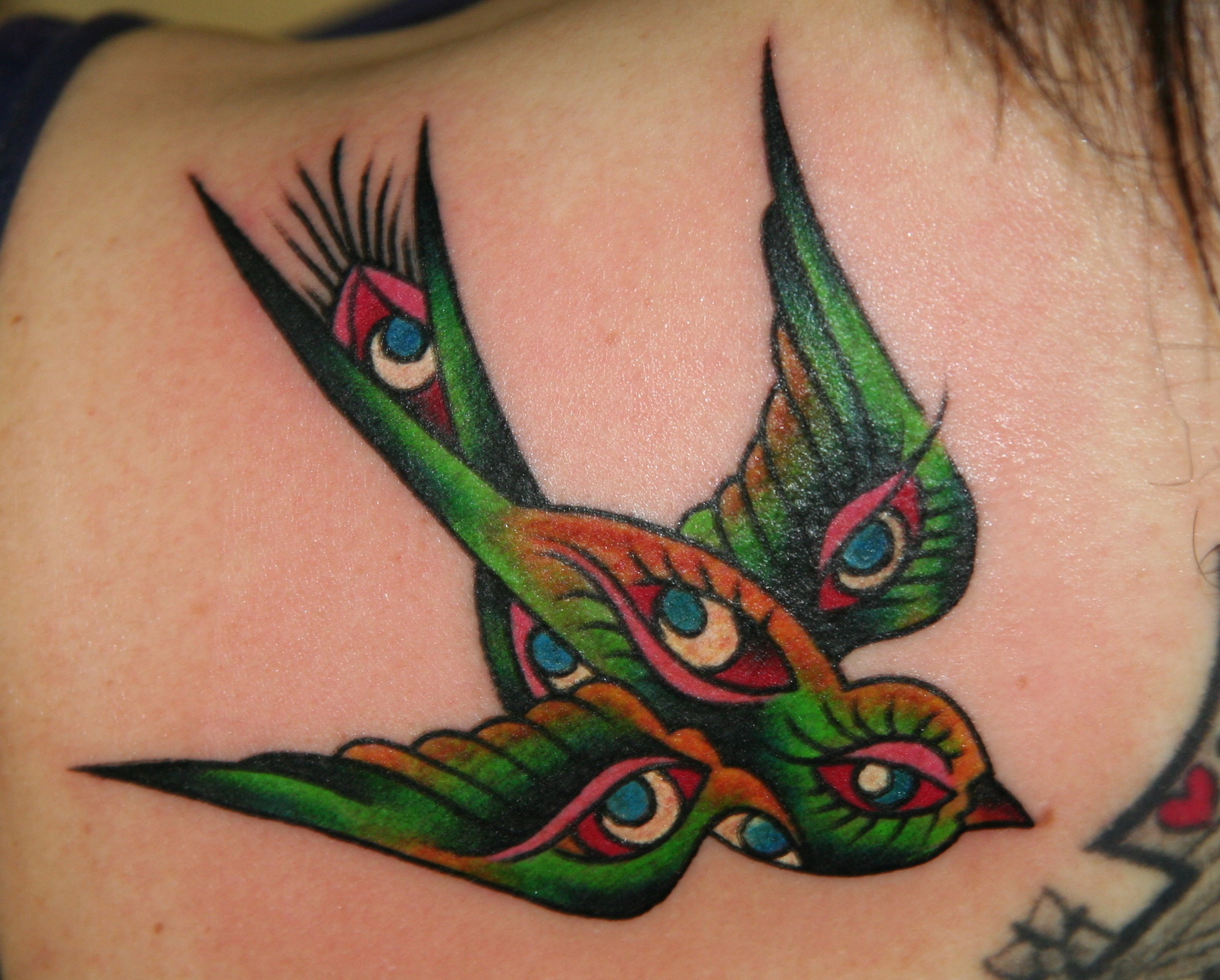  American traditional sparrow tattoo by Brandon Notch 