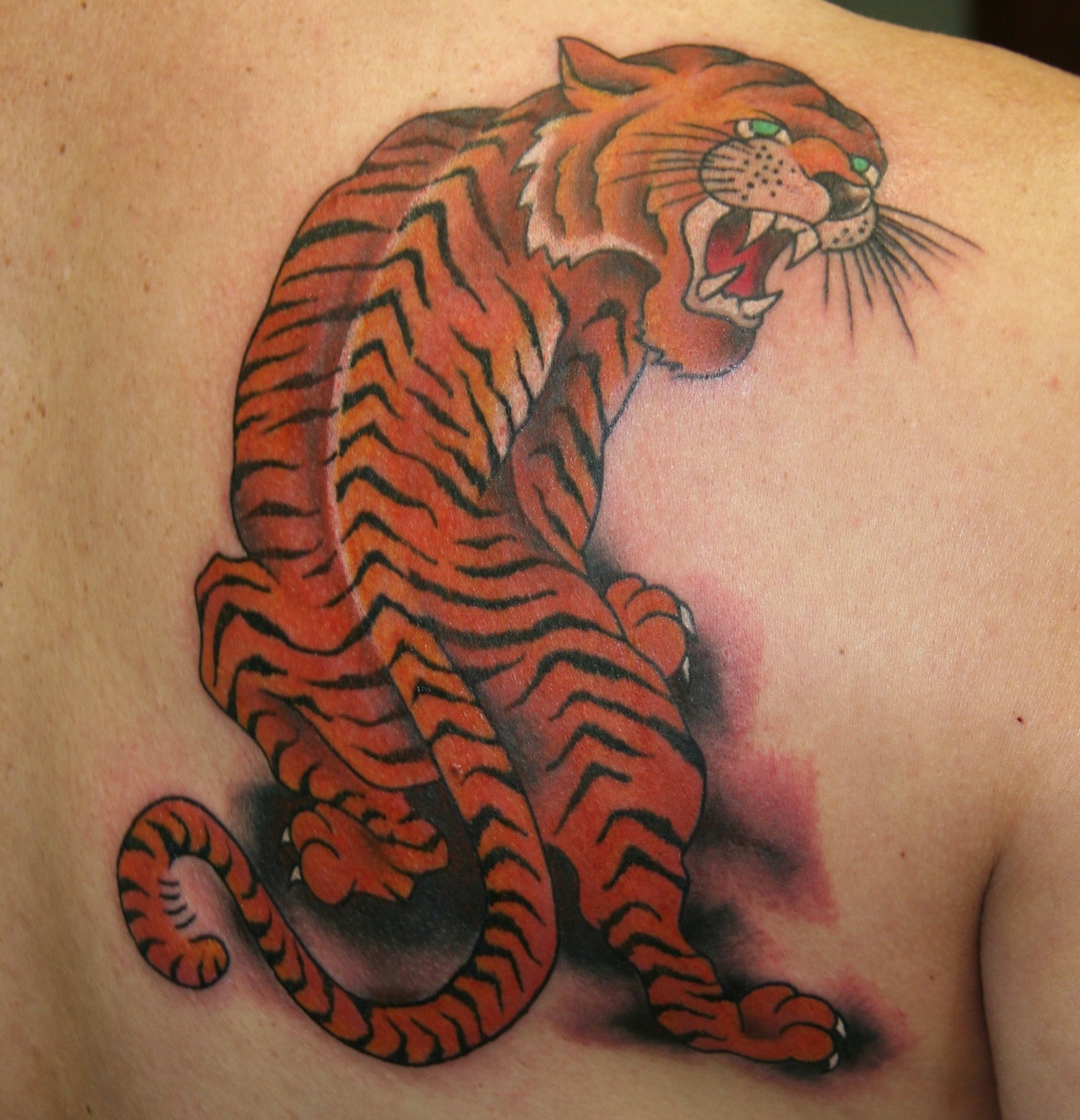  Asian tiger tattoo by Brandon Notch 