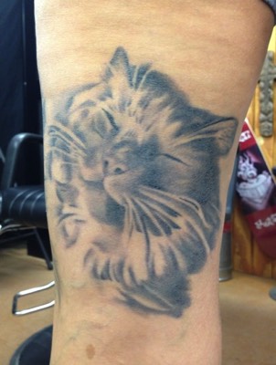  Cat tattoo by Brandon Notch 
