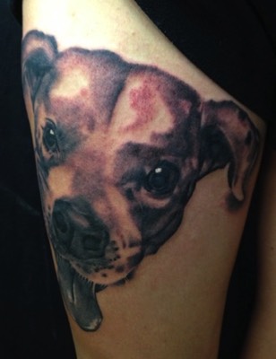  Dog tattoo by Brandon Notch 
