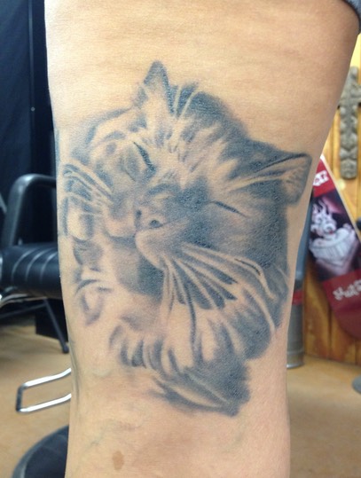  Cat Portrait Tattoo by Brandon Notch 