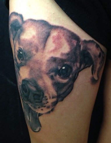  Dog tattoo by Brandon Notch 