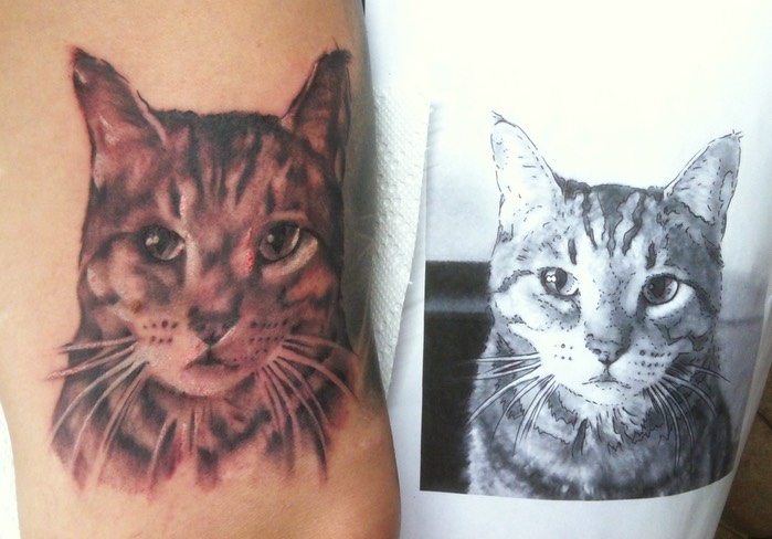 Cat Portrait Tattoo 