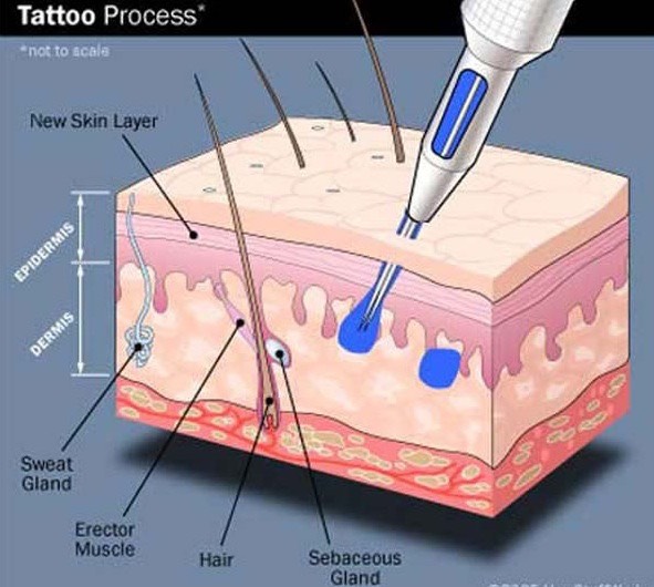 The tattoo process, Tattooing the skin 